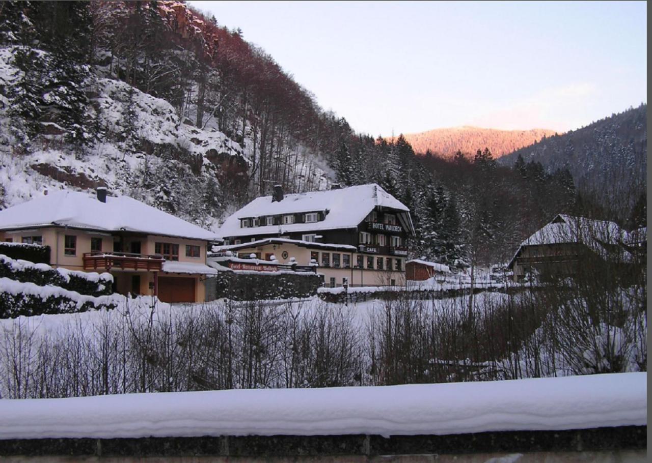 Hotel Waldeck In Todtnau Exterior photo